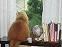 LuckyCat's Avatar