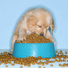 lady_lt's Avatar