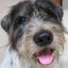 jugoy's Avatar