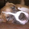 igop's Avatar