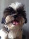 edmondfranco10's Avatar