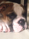 nihell's Avatar