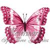 red papillon's Avatar