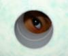 namteb18's Avatar